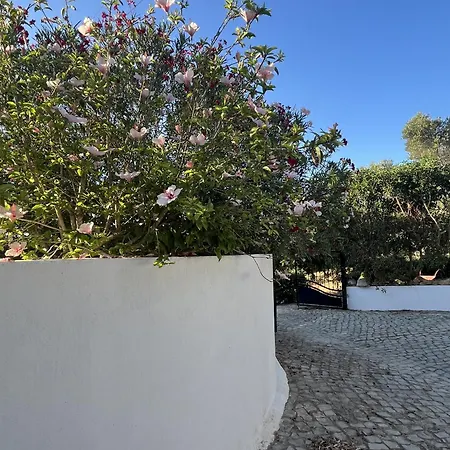 Casa No Limoeiro, Stylish Countryside Retreat Near