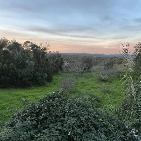 Casa No Limoeiro, Stylish Countryside Retreat Near * Loulé