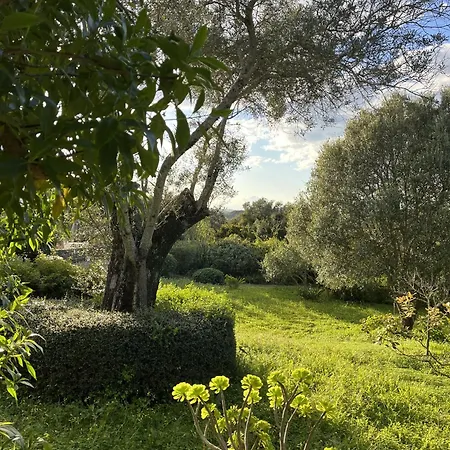 Casa No Limoeiro, Stylish Countryside Retreat Near * Loulé