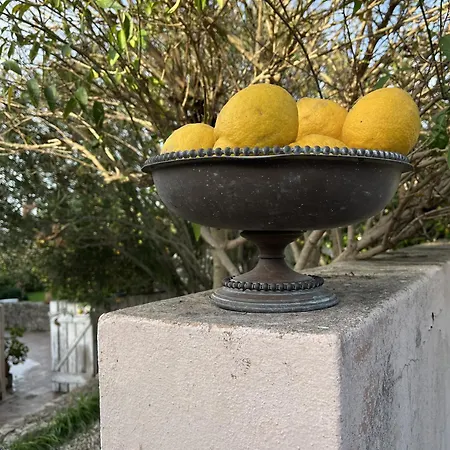Casa vacanze Casa No Limoeiro, Stylish Countryside Retreat Near Loulé