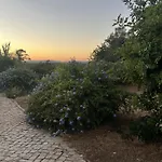 Casa No Limoeiro, Stylish Countryside Retreat Near * Loulé
