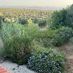 Casa No Limoeiro, Stylish Countryside Retreat Near Loulé