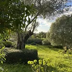 Casa No Limoeiro, Stylish Countryside Retreat Near * Loulé