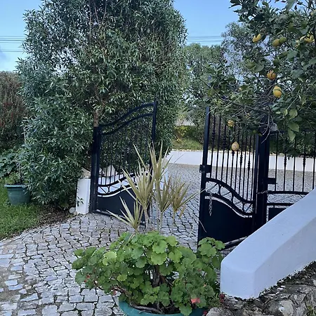 Casa No Limoeiro, Stylish Countryside Retreat Near Casa de Férias *