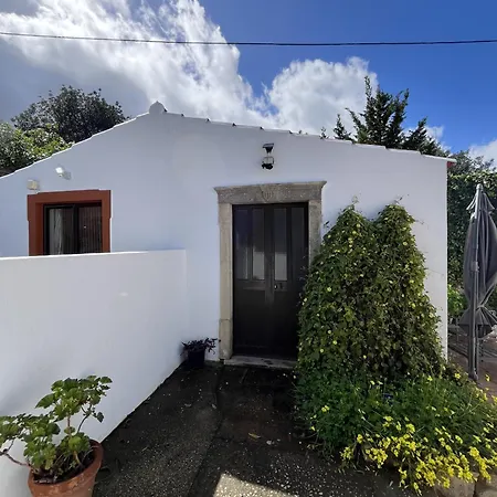 Casa No Limoeiro, Stylish Countryside Retreat Near Casa de Férias *