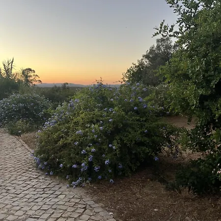 Casa No Limoeiro, Stylish Countryside Retreat Near * Loulé