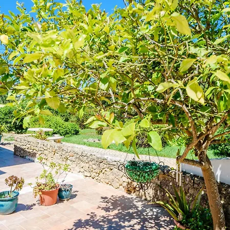 Tatil Evi Casa No Limoeiro, Stylish Countryside Retreat Near Loulé