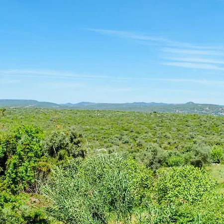 Casa No Limoeiro, Stylish Countryside Retreat Near Loulé